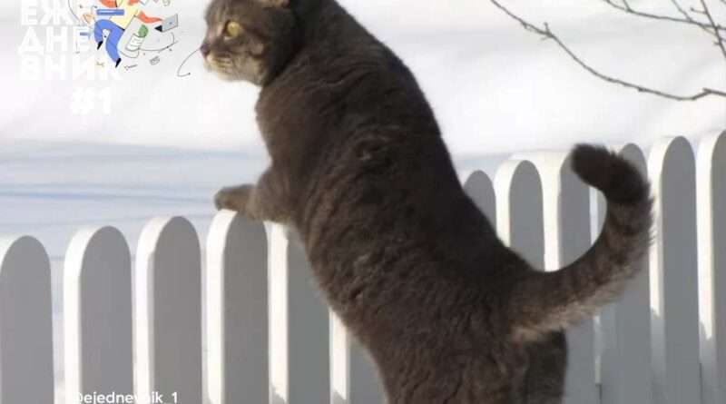 Лето и зима: Важность труда и поговорка, которая объясняет все