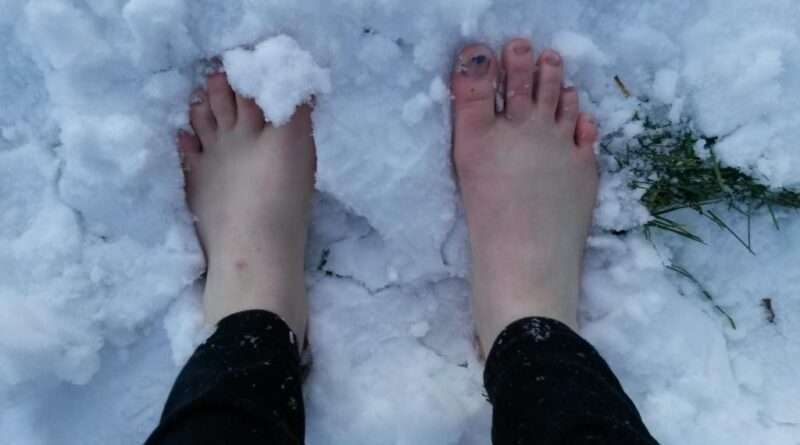 Урок о поговорке: Кто не берег летом шерсть, зимой заморозил ноги