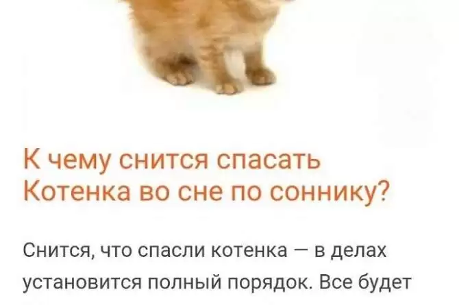k chemu snitsya son s kotom К чему снится сон с котом