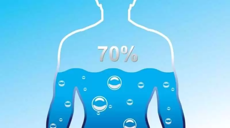 chelovek opekaet telo Урок о поговорке: Человек опекает тело, вода - рыбу