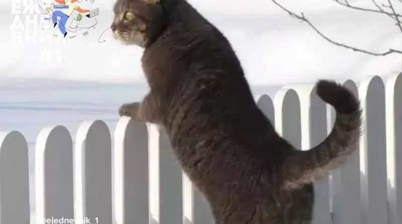 leto Лето и зима: Важность труда и поговорка, которая объясняет все